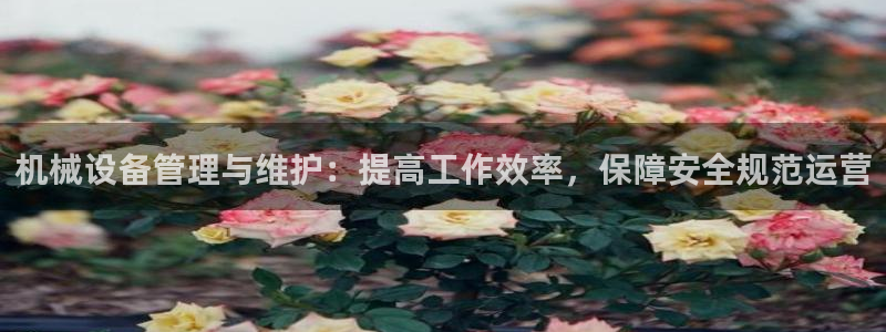 j9九游会网址是什么