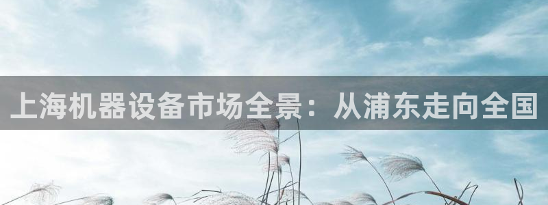 九游会平台王一博泰国