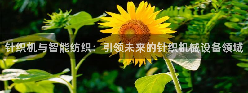 j9九游会老哥俱乐部 - 九游会