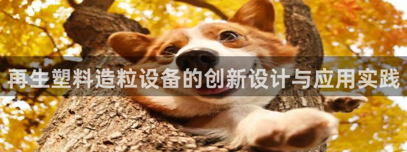九游j9登陆