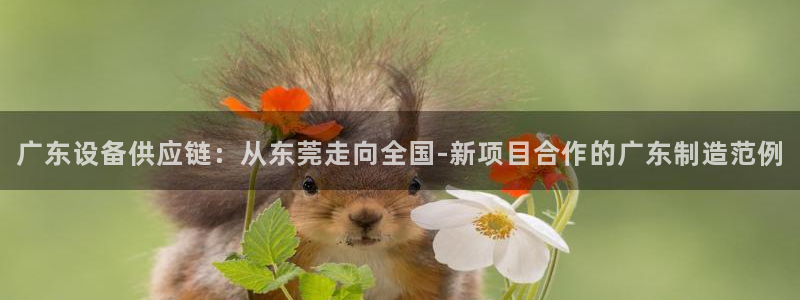 j9九游会入口：广东