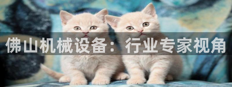 J9九游会试玩入口