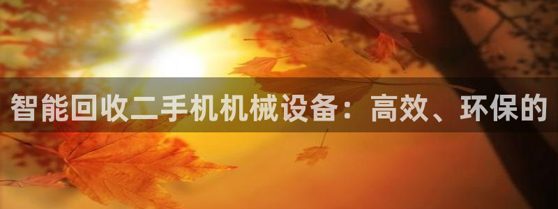 九游会官方选网址是j9.cm