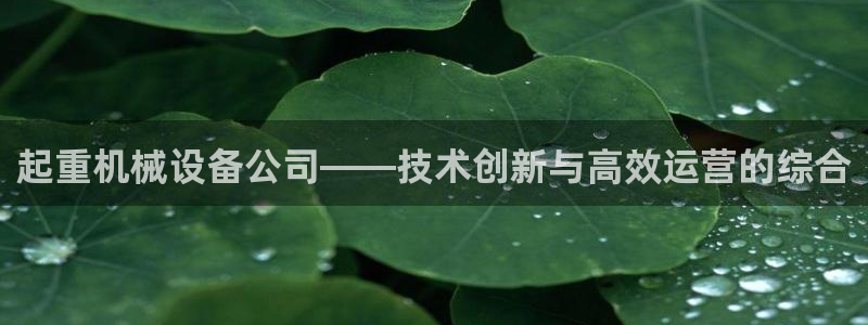 九游会官网页登录