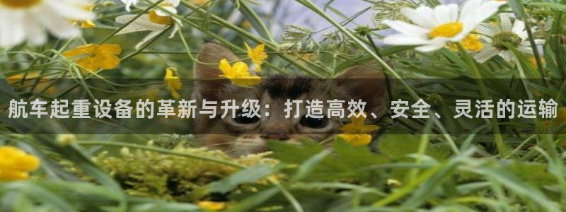 九游会集团菲律宾