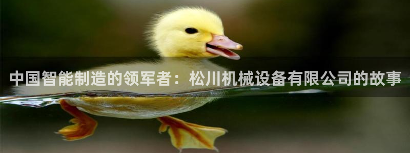 九游会ag官方网站