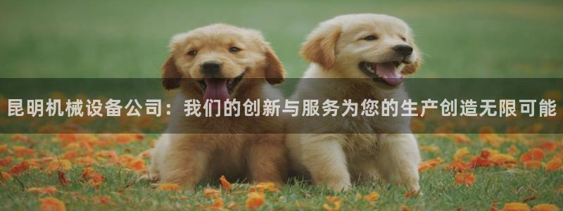 九游会员中心