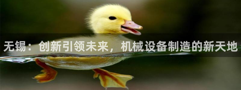 九游会集团新的选择