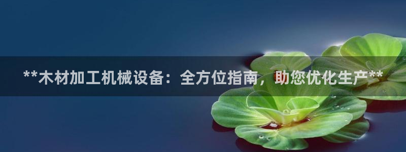 ag8九游会