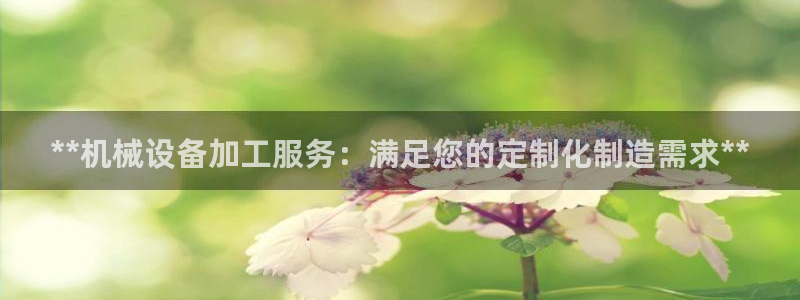 九游会官网真人游戏第一品牌