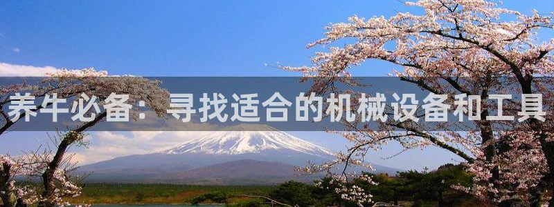 J9九游会手机登录