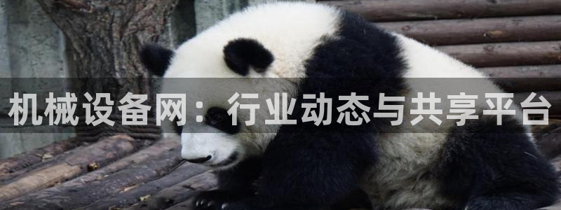 九游会官网地址