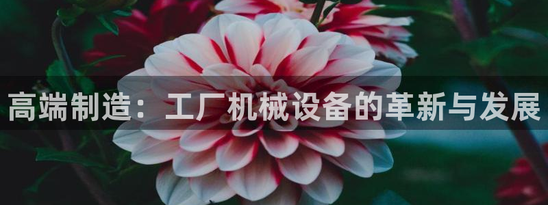 J9九游会老哥俱乐部官方