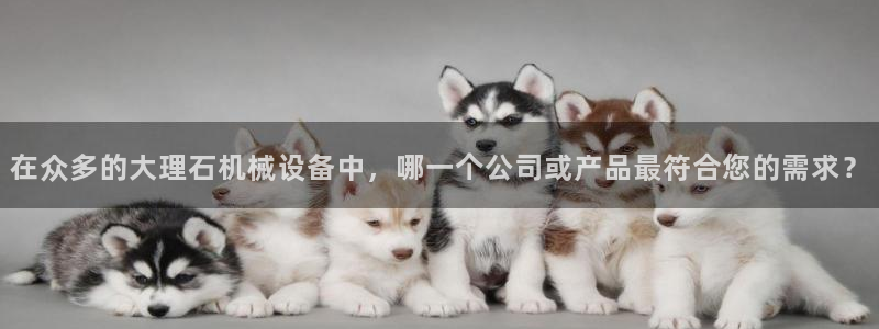 九游会在线官方网站登录吗