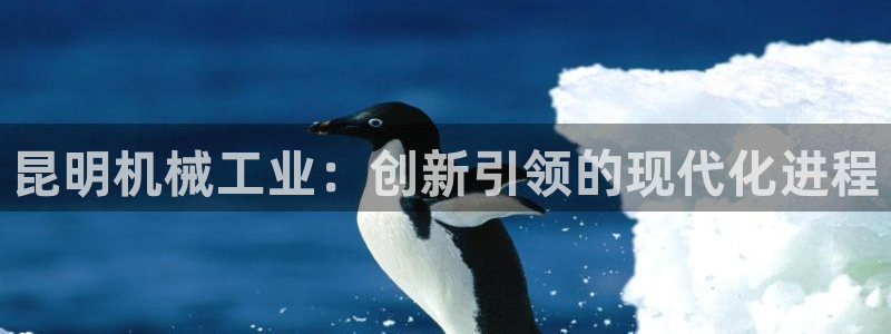 j9九游会登录网址